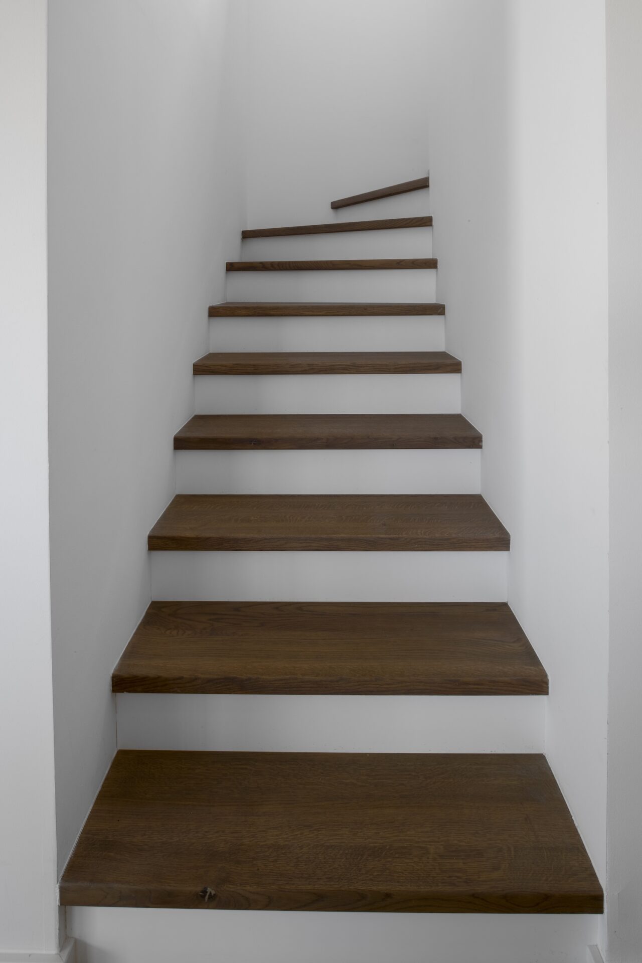 hisa-komelina-jelovica-11