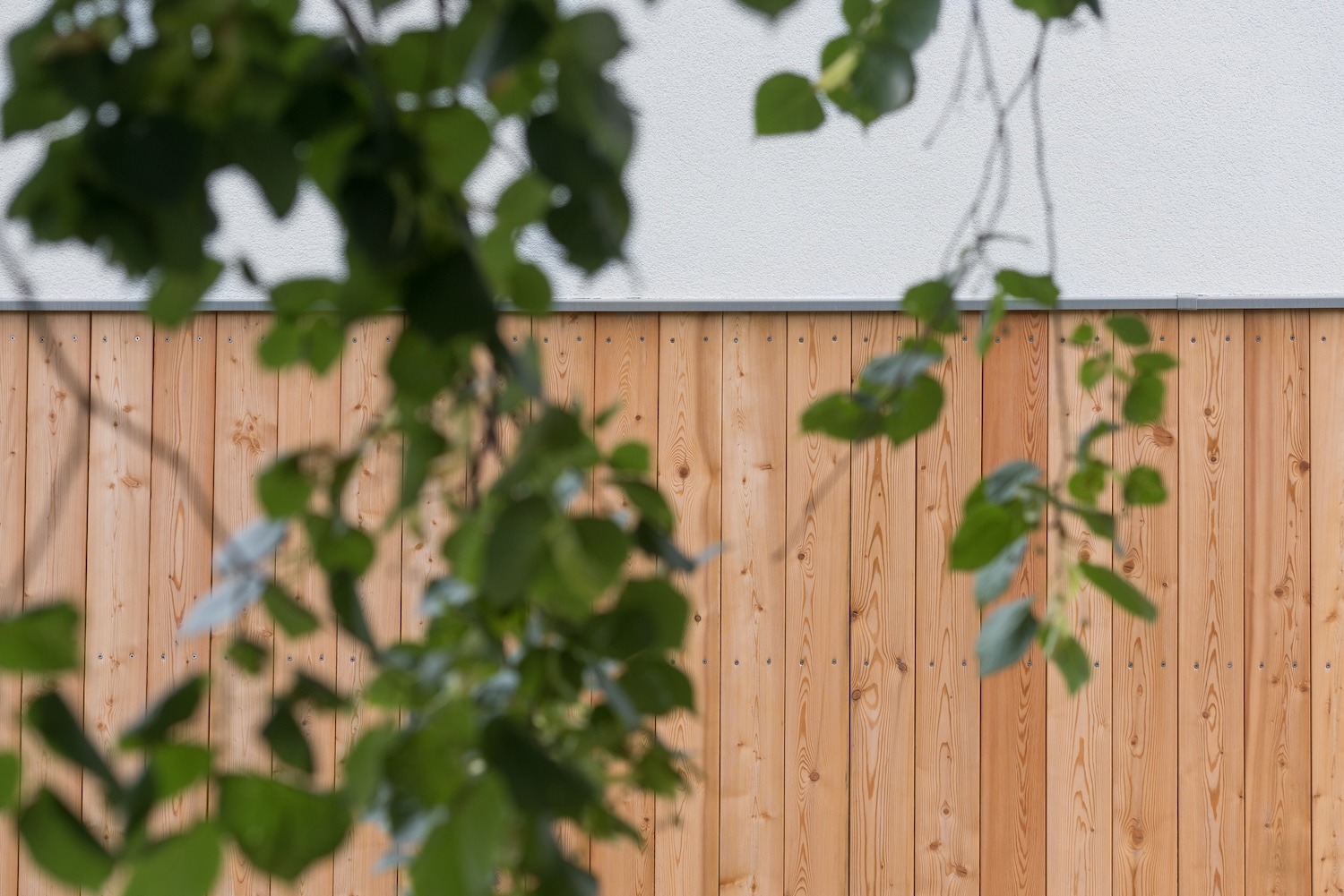 martin-metelko-m24-si-39